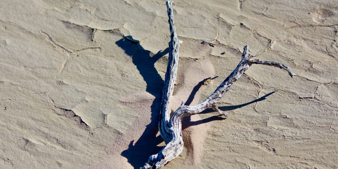 Οι περισσότερες χώρες της Νότιας και Δυτικής Ευρώπης πλήττονται από αναδυόμενη ξηρασία