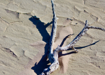 Οι περισσότερες χώρες της Νότιας και Δυτικής Ευρώπης πλήττονται από αναδυόμενη ξηρασία