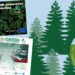EUTeens4Green: Η ΕΕ χρηματοδοτεί 13 έργα που προέρχονται από Ελληνικές ομάδες & οργανώσεις νέων