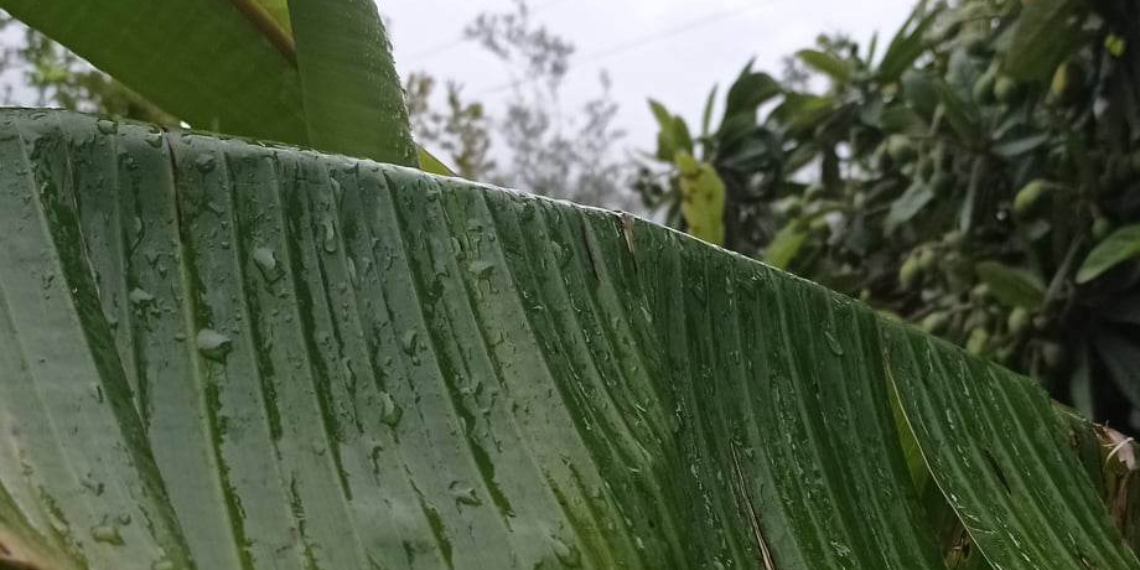 Έχετε ιδέες για να βελτιώσουμε όλοι μαζί το περιβάλλον; Η ΕΕ θα χρηματοδοτήσει τα σχέδιά σας