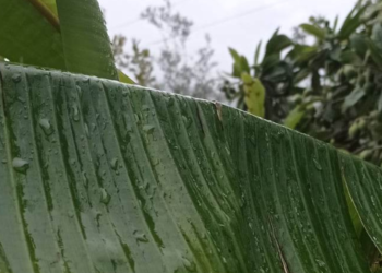 Έχετε ιδέες για να βελτιώσουμε όλοι μαζί το περιβάλλον; Η ΕΕ θα χρηματοδοτήσει τα σχέδιά σας