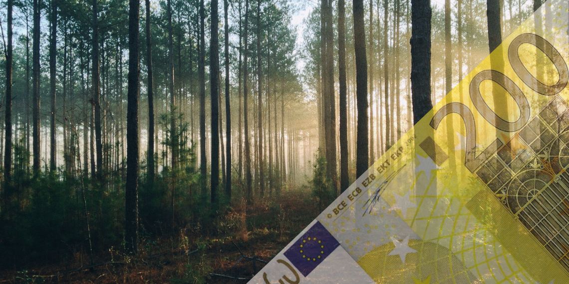 MyFairMoney: Πόσο (περιβαλλοντικά και κοινωνικά) βιώσιμες είναι οι επενδύσεις σας;