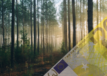 MyFairMoney: Πόσο (περιβαλλοντικά και κοινωνικά) βιώσιμες είναι οι επενδύσεις σας;