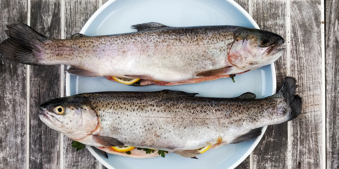 Εκστρατεία της ΕΕ για τη μείωση της σπατάλης στα τρόφιμα