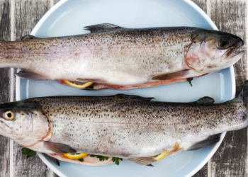 Εκστρατεία της ΕΕ για τη μείωση της σπατάλης στα τρόφιμα