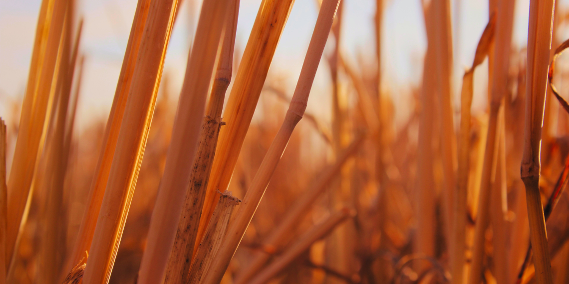 Το Ευρωκοινοβούλιο κρούει τον κώδωνα του κινδύνου για λειψυδρία στην Ευρώπη