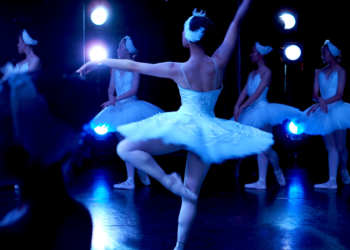 EE: Συστάσεις για τη βελτίωση των συνθηκών εργασίας των καλλιτεχνών & επαγγελματιών του πολιτισμού