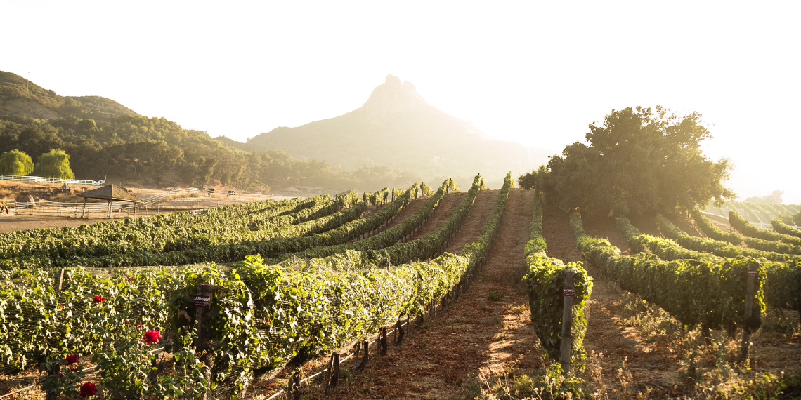 Copernicus: Η Γαλλία αντιμέτωπη με πρωτοφανή καύσωνα και με θερμοκρασίες που ξεπερνούν τους 40°C