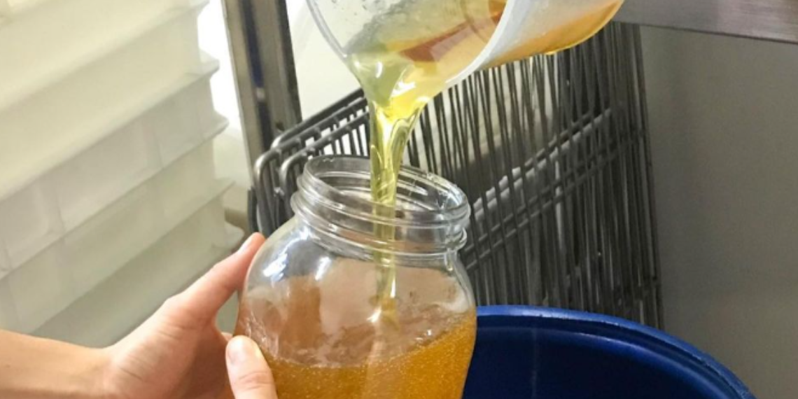 New European Bauhaus: Κυκλική οικονομία… Το τηγανέλαιο μετατρέπεται σε απλό σαπούνι