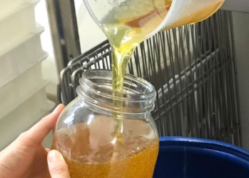 New European Bauhaus: Κυκλική οικονομία… Το τηγανέλαιο μετατρέπεται σε απλό σαπούνι