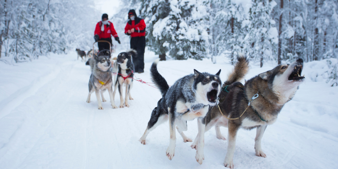 European Job Days: Έχετε αναρωτηθεί ποτέ πώς είναι να δουλεύεις στη Λαπωνία;