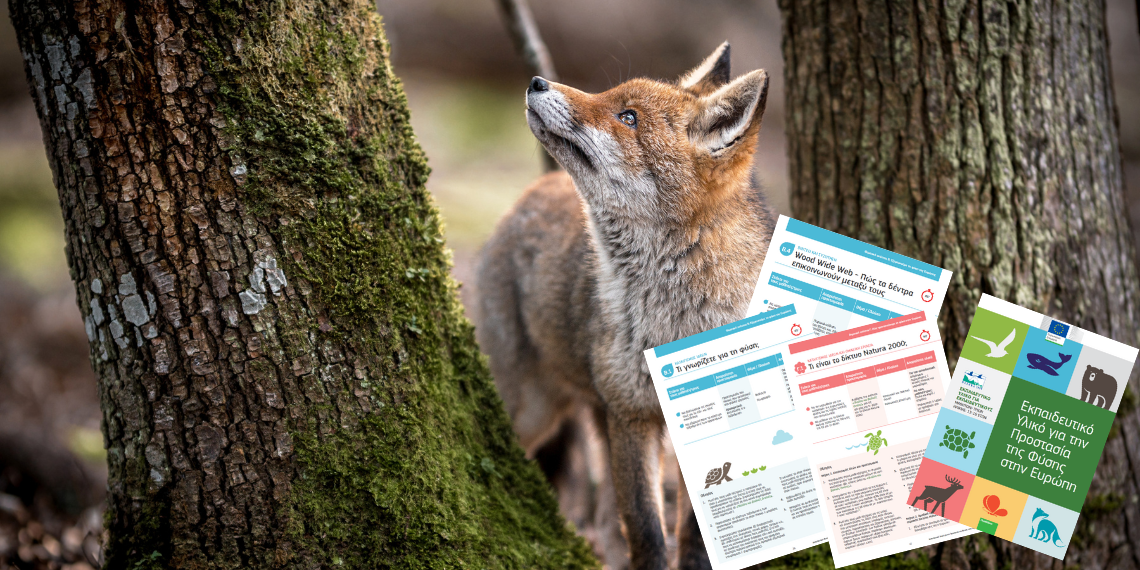The European nature protection toolkit: Μία “πράσινη” εργαλειοθήκη για εκπαιδευτικούς & μαθητές