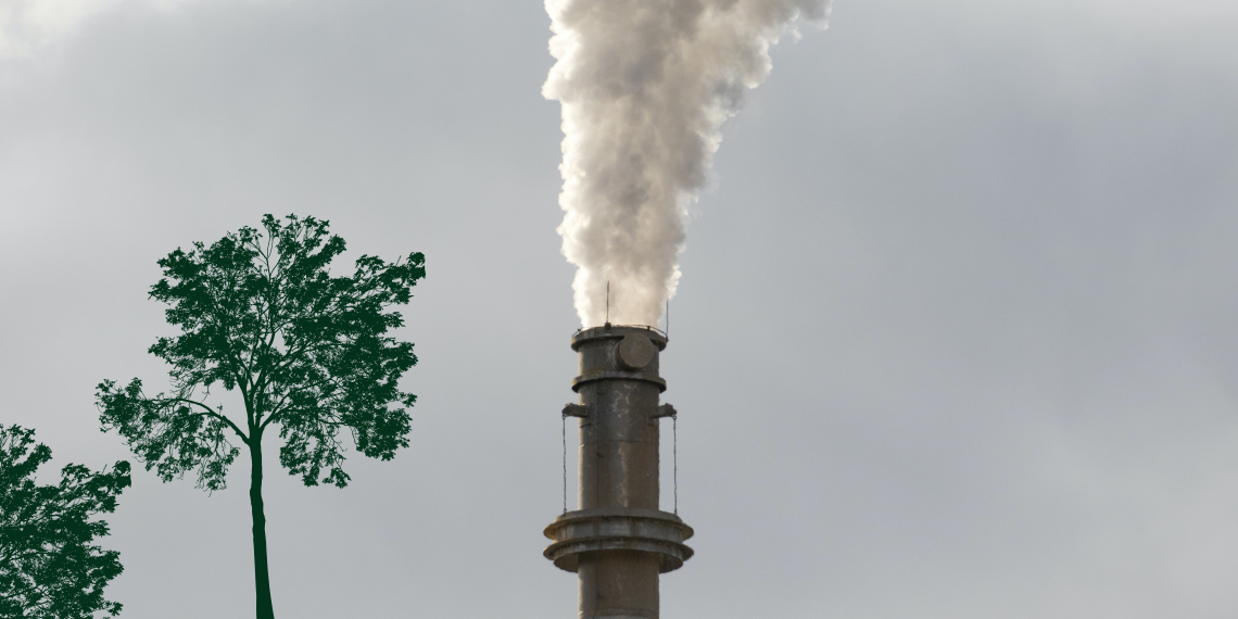 Ενδιαφέρεστε για τα στατιστικά δεδομένα της κλιματικής αλλαγής; Η Eurostat μπορεί να σας βοηθήσει
