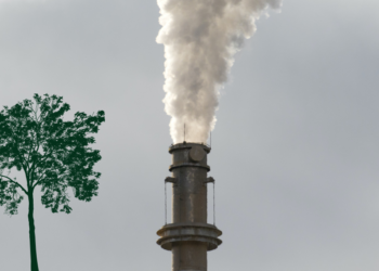 Ενδιαφέρεστε για τα στατιστικά δεδομένα της κλιματικής αλλαγής; Η Eurostat μπορεί να σας βοηθήσει