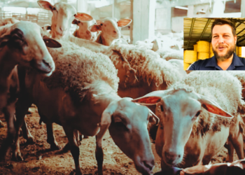 Βιολογικά Βραβεία: Έλληνας -από την Καστοριά- ο καλύτερος βιοκαλλιεργητής της ΕΕ