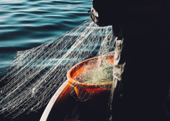 Ευρωκοινοβούλιο: Ψηφιακή καταγραφή όλων των αλιευμάτων ακόμη και της ερασιτεχνικής αλιείας