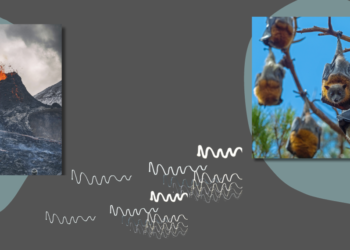 395 εκατ. από το Ευρωπαϊκό Συμβούλιο Έρευνας σε 37 επιστημονικές ομάδες