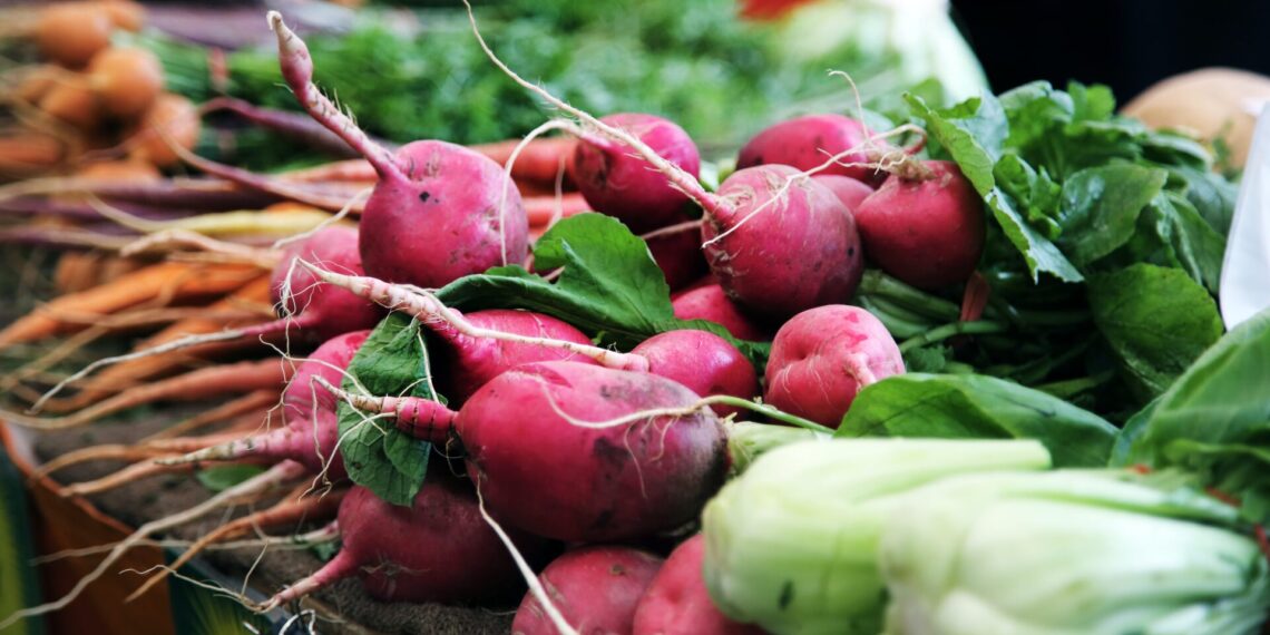 Eupolis: Μία πρόταση για δημιουργία αστικού κήπου στο πλαίσιο του προγράμματος BioValue