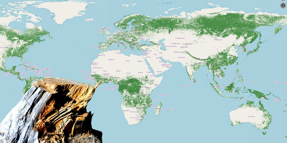 Αποψίλωση των δασών: Δείτε το μέγεθός της μέσα από το παρατηρητήριο της ΕΕ