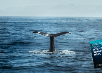 “Bring The Ocean into Your School”: Γνώρισε τα μυστικά των ωκεανών μέσα από το σχολείο σου