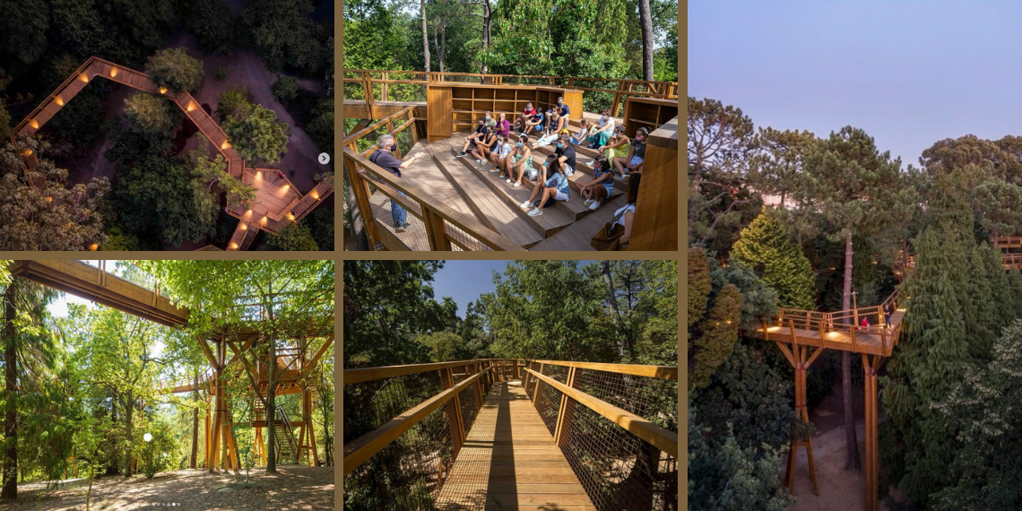 New European Bauhaus: Treetop Walk of Serralves – Ένα μονοπάτι που διασχίζει τις κορυφές των δέντρων