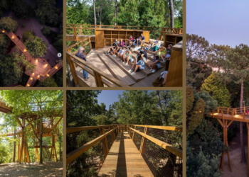 New European Bauhaus: Treetop Walk of Serralves – Ένα μονοπάτι που διασχίζει τις κορυφές των δέντρων