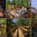 New European Bauhaus: Treetop Walk of Serralves – Ένα μονοπάτι που διασχίζει τις κορυφές των δέντρων