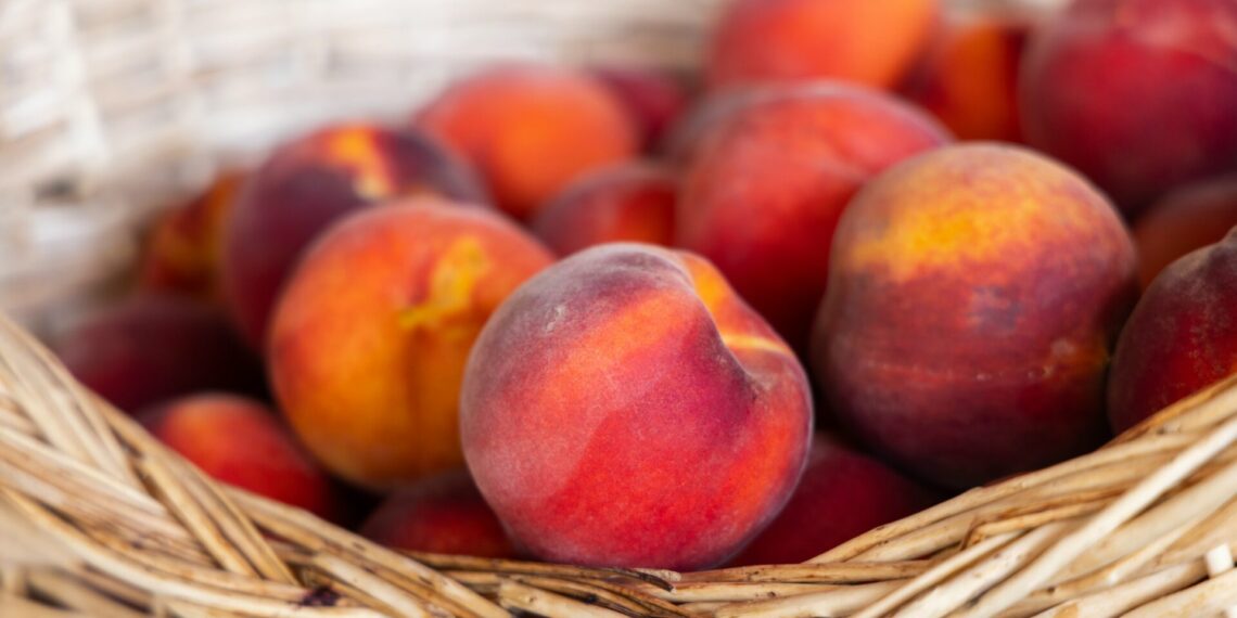 Eurostat: Από Ελλάδα – Ιταλία και Ισπανία το 90% της παραγωγής ροδάκινων στην ΕΕ