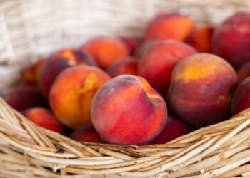 Eurostat: Από Ελλάδα – Ιταλία και Ισπανία το 90% της παραγωγής ροδάκινων στην ΕΕ