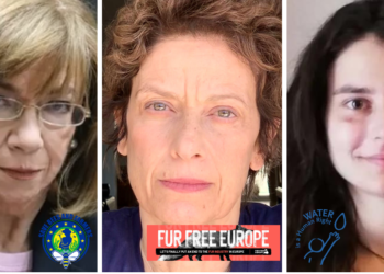 Ένα εξαιρετικό πάνελ στη διαδικτυακή εκδήλωση των 4 EDs για την “Ευρωπαϊκή Πρωτοβουλία Πολιτών”