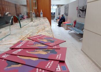 Europe Direct Piraeus: Διανομή πληροφοριακού υλικού για τις Ευρωεκλογές