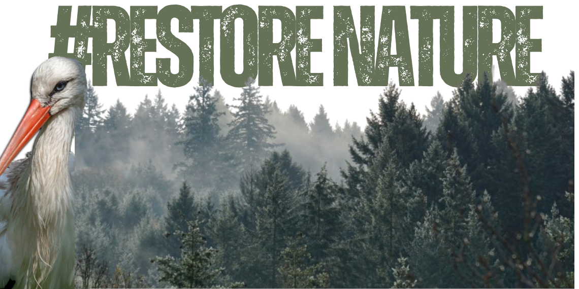 #Restore Nature… Επικυρώθηκε από την ΕΕ ο Κανονισμός για την αποκατάσταση της φύσης