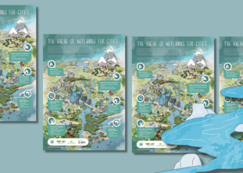 Ήξερες ότι οι υγρότοποι είναι γνωστοί και ως τα «νεφρά της γης»;