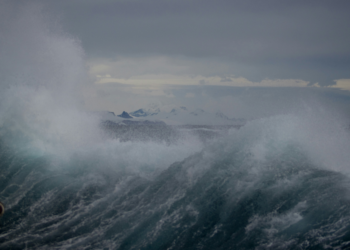 EU Young Ocean Advocates: Θέλεις να γίνεις συνήγορος του ωκεανού;